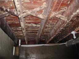 Mold in the Basement Beams Before Soda Blasting